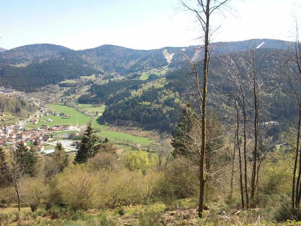 Hotel Les Bruyeres Ventron Dış mekan fotoğraf