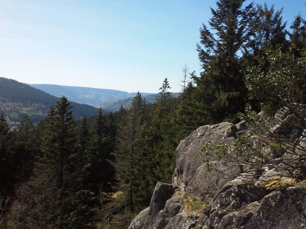 Hotel Les Bruyeres Ventron Dış mekan fotoğraf