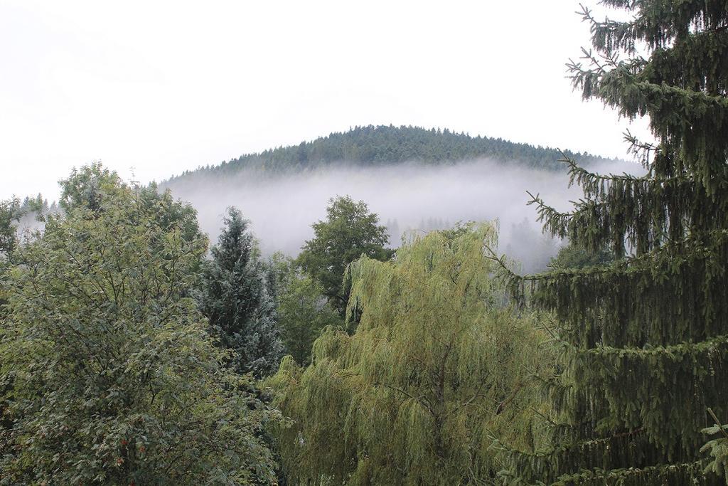 Hotel Les Bruyeres Ventron Dış mekan fotoğraf